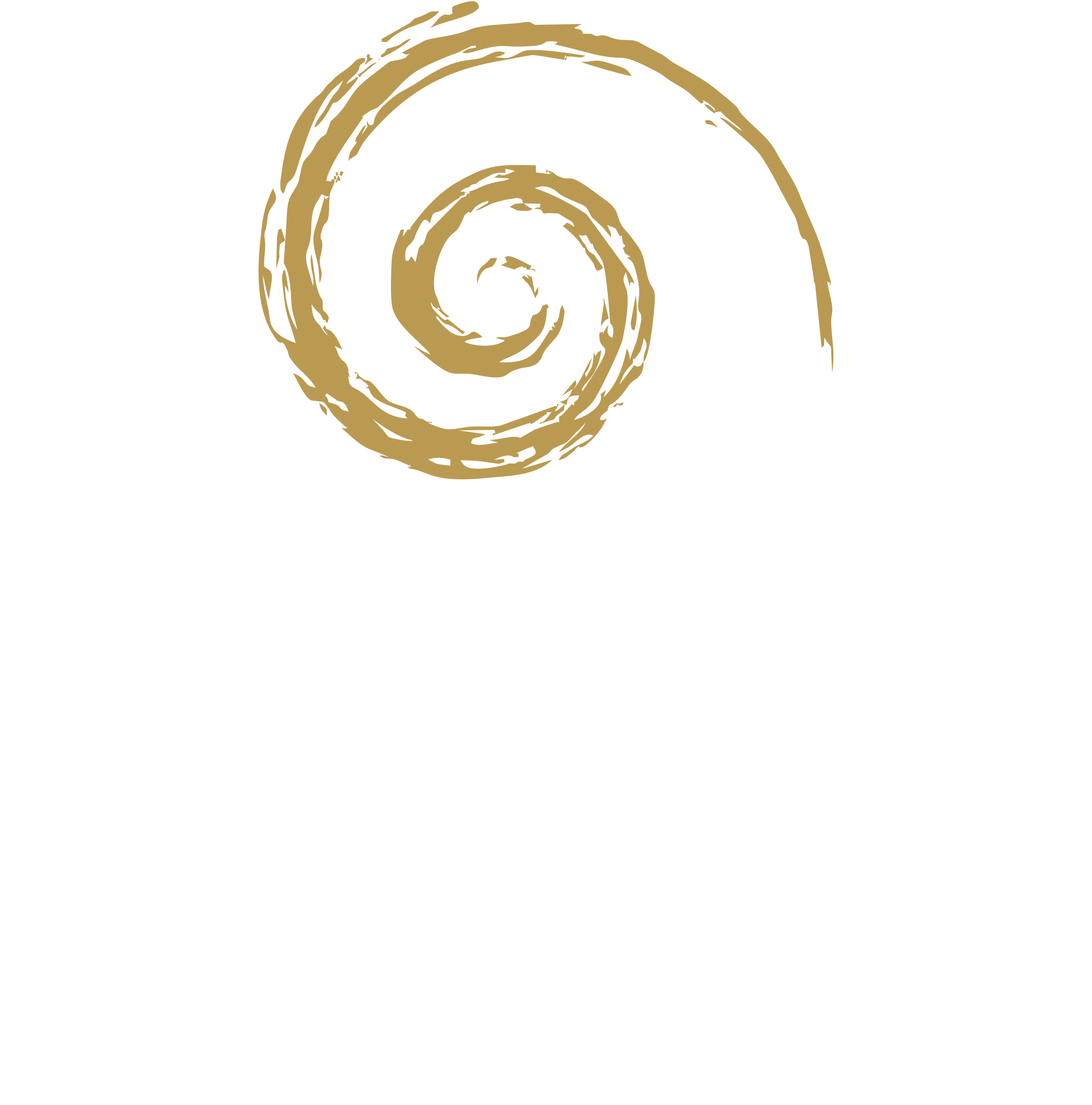 light logo